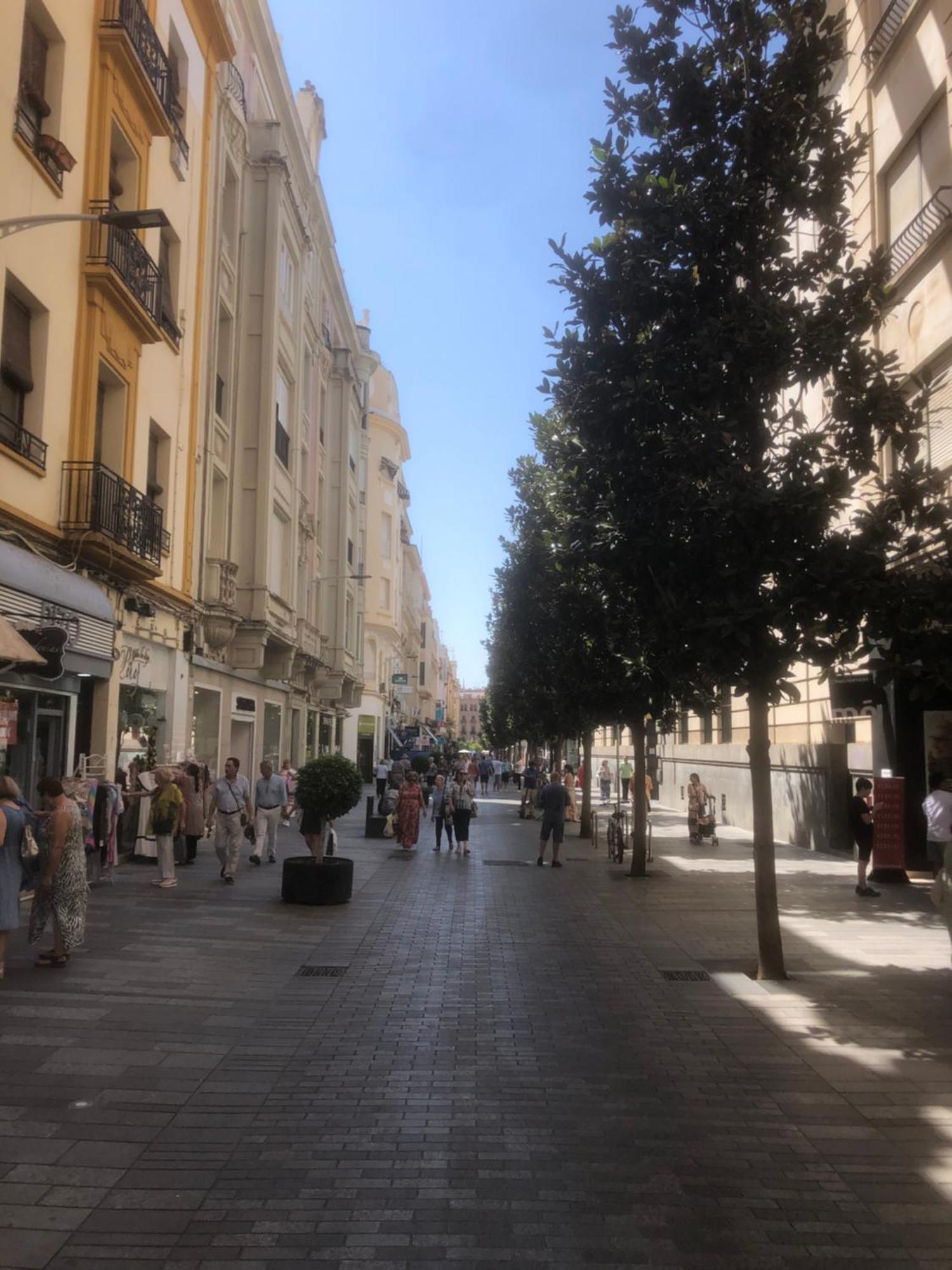 Apartamento En El Centro Totalmente Climatizado, Parking Gratuito Кордоба Екстериор снимка
